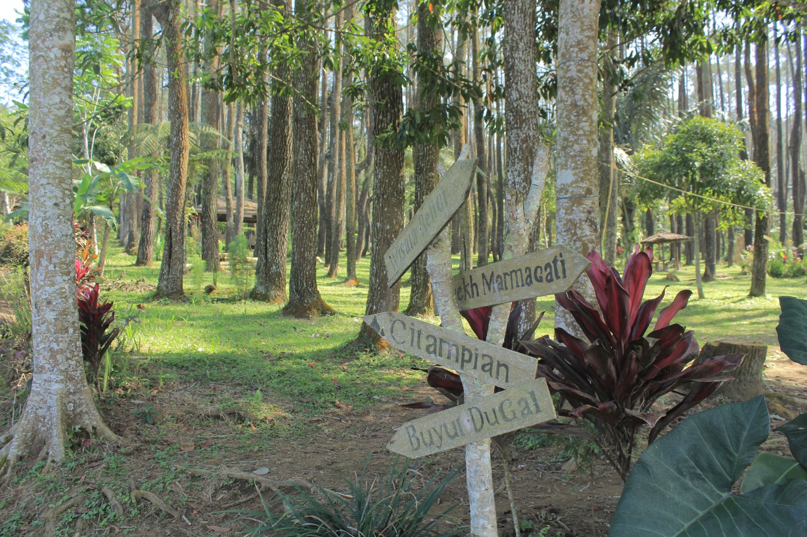 Eduwisata Pasir Batang